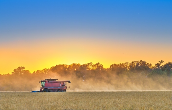 03 Rice Harvest Near Dewitt - Professional 2020 Stone Bank 2 photography by Paul Caldwell