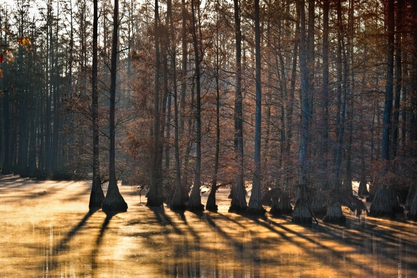 07 Bayo Sunrise - Professional 2020 Stone Bank 2 photography by Paul Caldwell