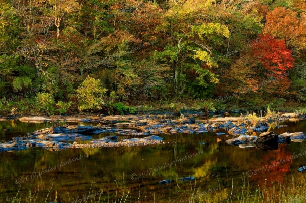 20 Early Morning Along The River - Professional Arkansas Ouachita Gallery No 1 photography by Paul Caldwell