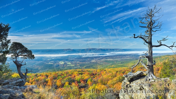 35 Morning Vista From Mt Magazine Looking Towards Blue Mountain - Professional Arkansas Ozark Gallery No 1 photography by Paul Caldwell