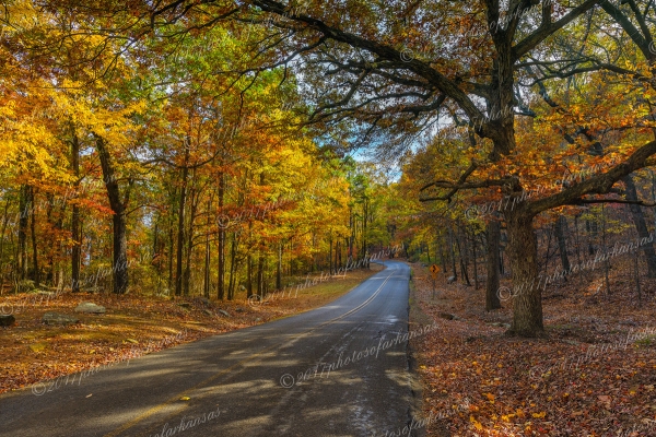 19 Fall Scene On The Road To Mt Nebo - Professional Arkansas Ozark Gallery No 3 photography by Paul Caldwell