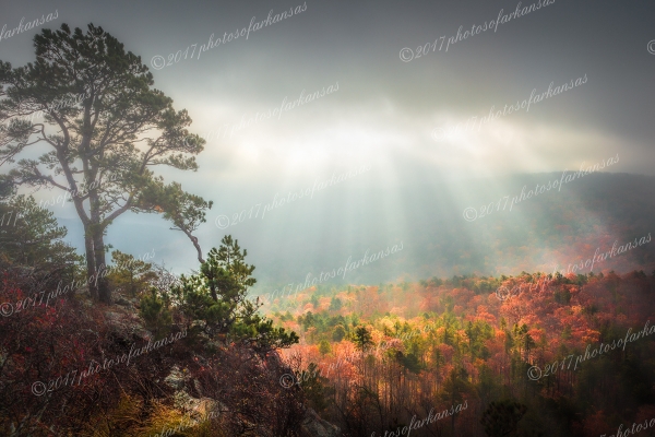 23 Foggy Sunrise From The Summit Of Flatside Pinnacle - Professional Arkansas Ozark Gallery No 3 photography by Paul Caldwell