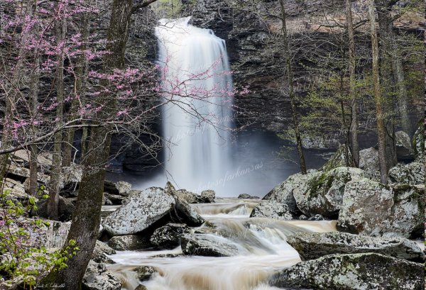 02 Cedar Falls And Redbud On Petit Jean Mt - Professional Arkansas River Valley Gallery No 1 photography by Paul Caldwell