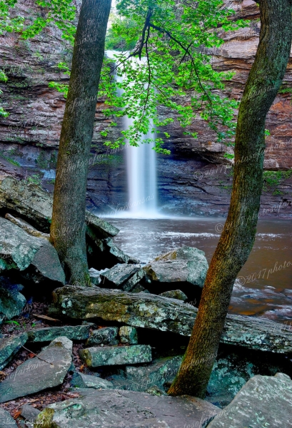 25 Twin Gums At Cedar Falls - Professional Arkansas River Valley Gallery No 1 photography by Paul Caldwell