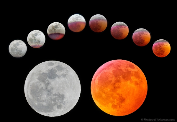 39 Blood Moon Full Eclipse Over Little Rock Ar - Professional Featured Arkansas Photos photography by Paul Caldwell
