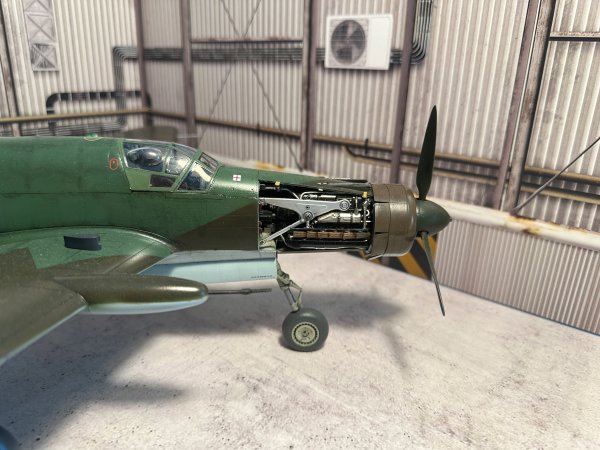 02 Dornier335 - Professional Hk Do 335 B6 photography by Paul Caldwell