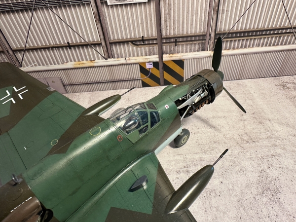 04 Dornier335 - Professional Hk Do 335 B6 photography by Paul Caldwell