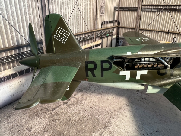 06 Dornier335 - Professional Hk Do 335 B6 photography by Paul Caldwell