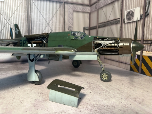 07 Dornier335 - Professional Hk Do 335 B6 photography by Paul Caldwell