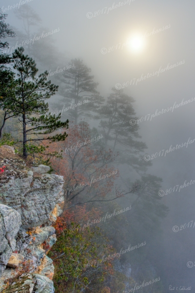 06 Foggy Morning View On The Buffalo River - Professional My Favorites Gallery photography by Paul Caldwell