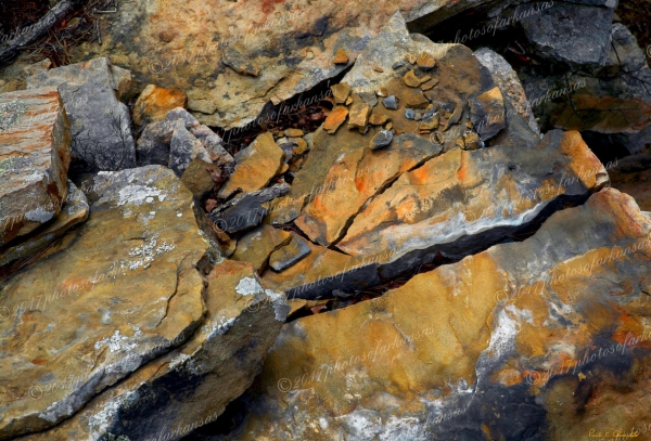 12 Arkansas Shale Near Richland Creek - Professional Natural Abstracts Gallery No 1 photography by Paul Caldwell