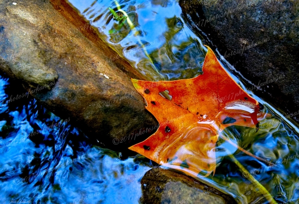 14 Blue Water Reflections - Professional Natural Abstracts Gallery No 1 photography by Paul Caldwell