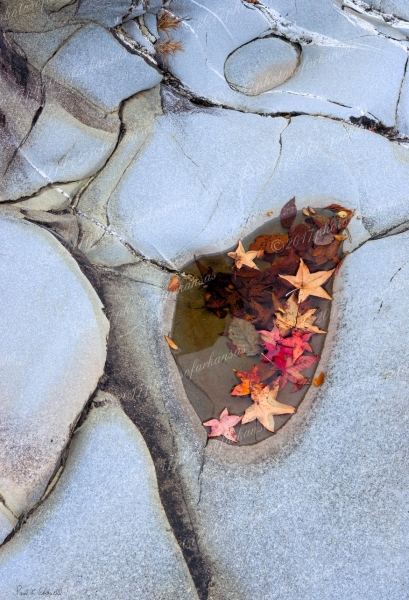 24 Fall Scene On The Cossatot River - Professional Natural Abstracts Gallery No 1 photography by Paul Caldwell