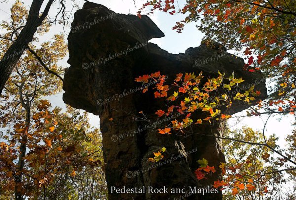 02 Blackout Pedestal - Professional Natural Abstracts Gallery No 2 photography by Paul Caldwell