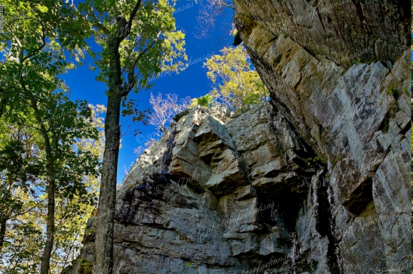 12 Never Sun Bluff - Professional Natural Abstracts Gallery No 2 photography by Paul Caldwell