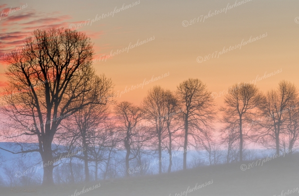 04 Foggy View Along The Road To Erbie Ford - Professional New Photography 2023 photography by Paul Caldwell