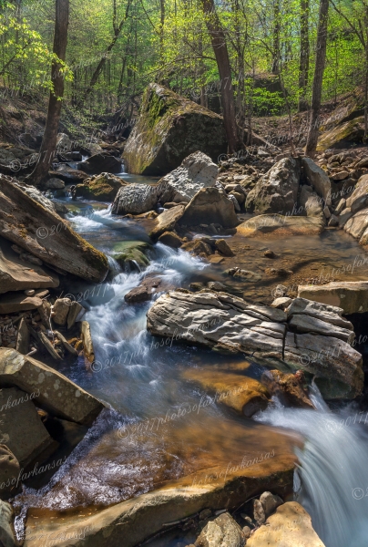 06 Early Spring Scene Of Smith Creek In The Upper Buffalo Wilderness - Professional New Photography 2023 photography by Paul Caldwell