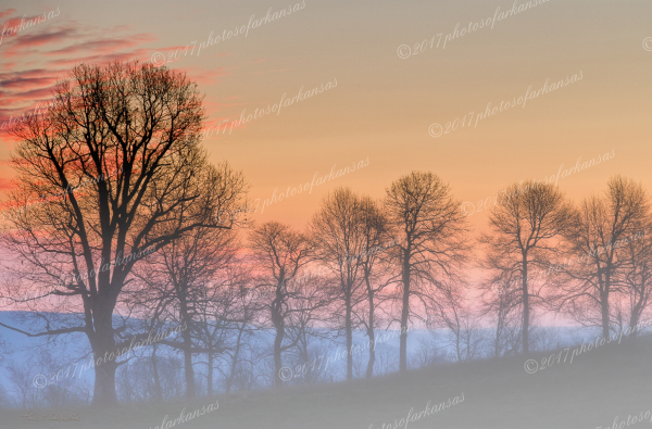 04 Foggy View Along The Road To Erbie Ford - Professional New Photography 2026 photography by Paul Caldwell