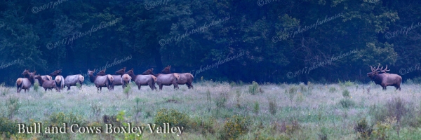 13 The Dance In Boxley Vallery - Professional Panoramas Of Arkansas photography by Paul Caldwell